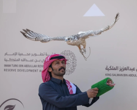 King Abdulaziz Falconry Festival 2025 kicks off with prizes totaling 38 million