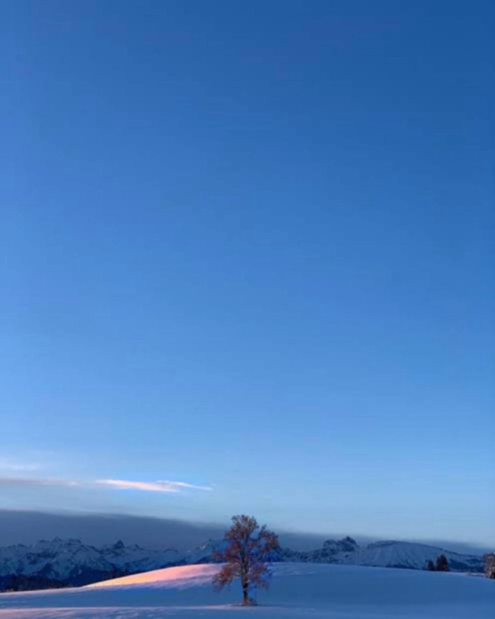 فلكية جدة: لماذا تزداد زرقة السماء في الشتاء؟ تفسير علمي