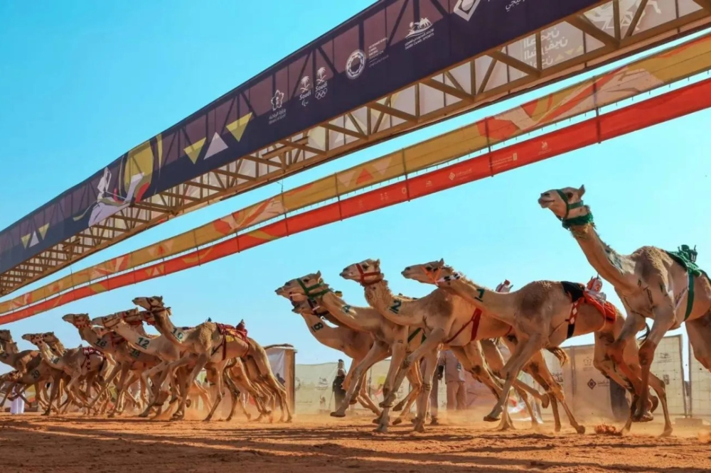 تفاصيل مهرجان خادم الحرمين للهجن 2026 وجوائز 70 مليون