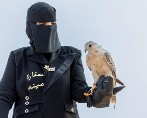 Amina Al-Anzi... a Saudi falconer who specializes in training falcons in the northern border region