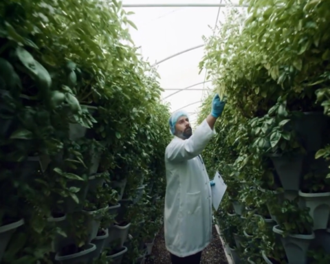 حملة ضمانك المحلي: مبادرة لرفع جودة وسلامة الغذاء السعودي