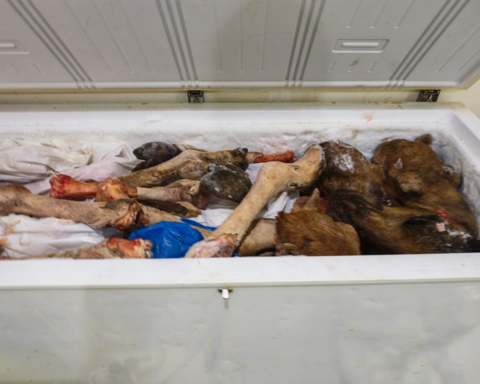 أمانة جدة تتلف 4.5 طن لحوم فاسدة وتغلق 4 مواقع مخالفة