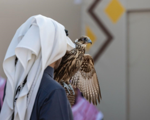 نتائج اليوم الخامس من مهرجان الملك عبدالعزيز للصقور 2025