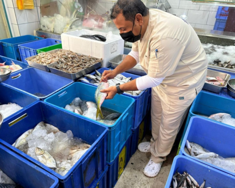 زراعة عسير تضبط 594 كجم أسماك فاسدة في أبها وخميس مشيط