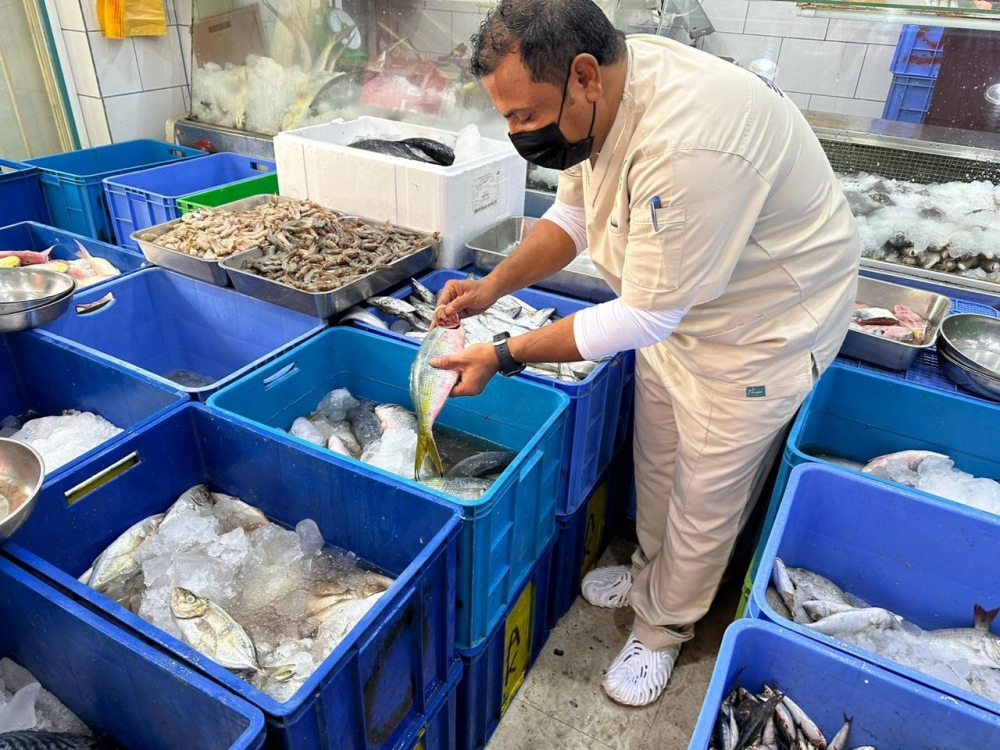 زراعة عسير تضبط 594 كجم أسماك فاسدة في أبها وخميس مشيط