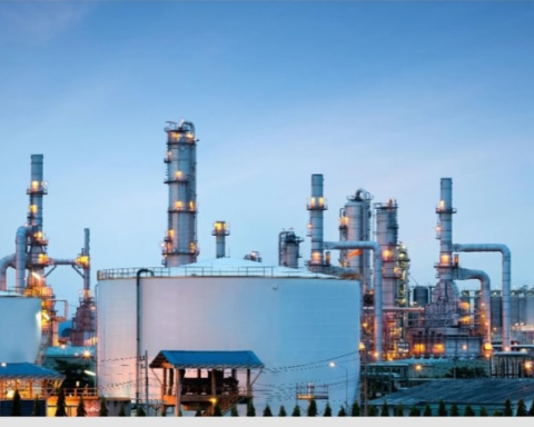 وزارة الاستثمار: دليل إجرائي جديد لضبط المخالفات وتعزيز النزاهة