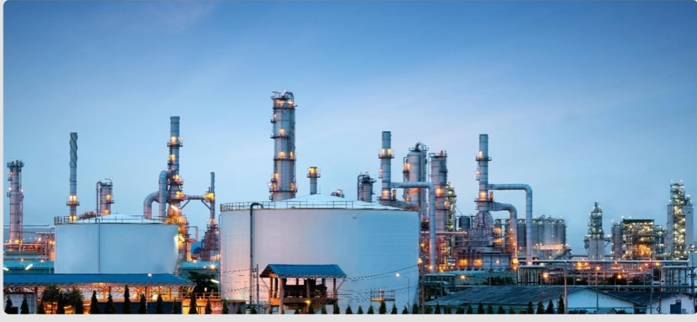 وزارة الاستثمار: دليل إجرائي جديد لضبط المخالفات وتعزيز النزاهة