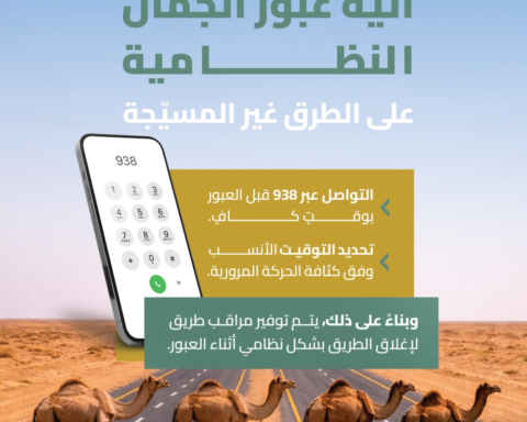 طريقة تنسيق عبور الإبل عبر 938 لسلامة الطرق