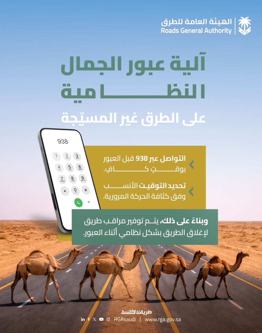 طريقة تنسيق عبور الإبل عبر 938 لسلامة الطرق