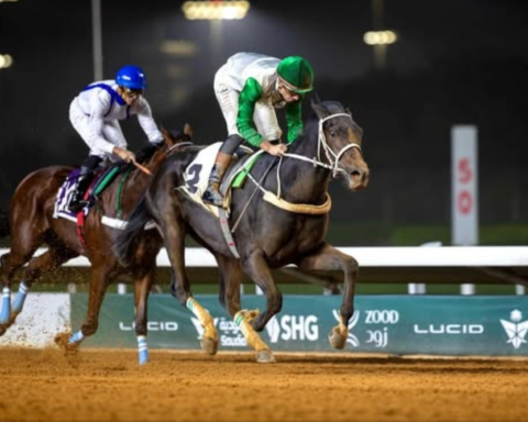 سباقات الخيل بميدان الملك عبدالعزيز: منافسات الأسبوع 12