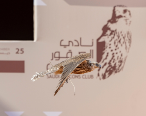 نتائج اليوم السابع لمهرجان الملك عبدالعزيز للصقور 2025