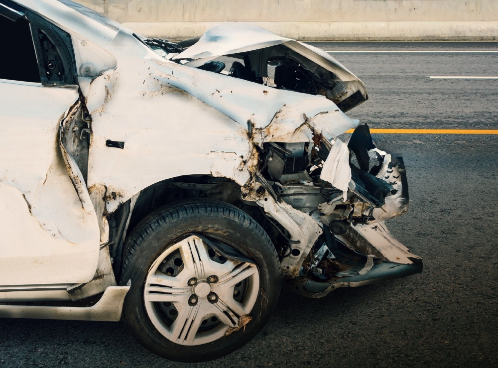 غرامة 50 ألف ريال لقاطعي سياج الطرق وحصيلة حوادث الحيوانات السائبة