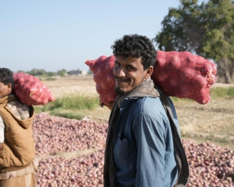 مشاريع سعودية في أبين تدعم إعمار اليمن في 5 قطاعات