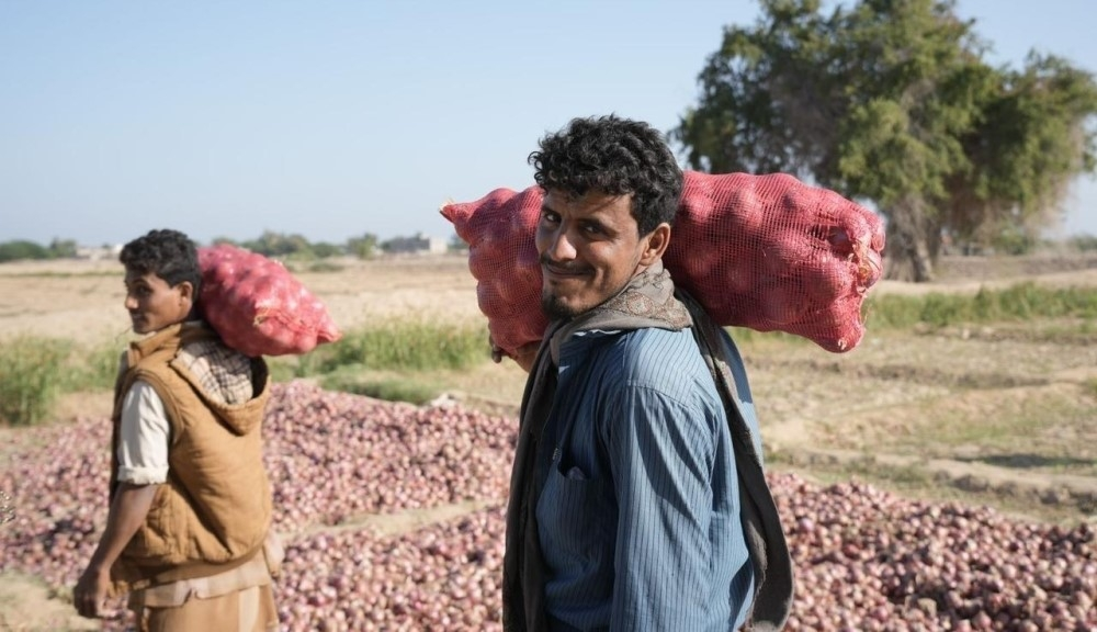 مشاريع سعودية في أبين تدعم إعمار اليمن في 5 قطاعات