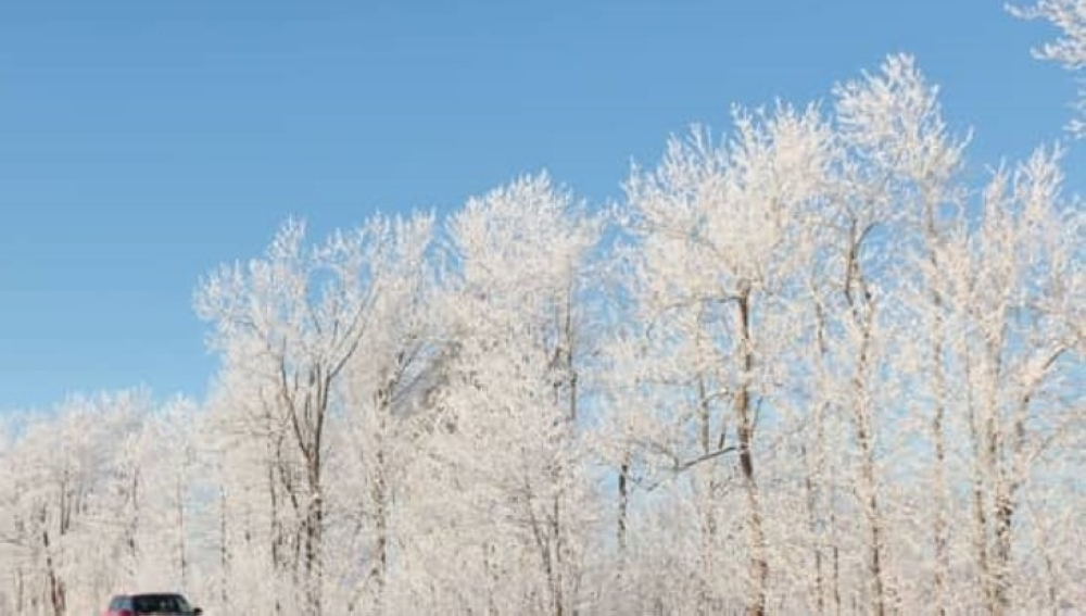 موجة برد قارس تضرب كوريا الجنوبية وتحذيرات من الثلوج