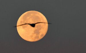 The first supermoon of 2026: its date and details of its conjunction with Jupiter