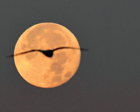 The first supermoon of 2026: its date and details of its conjunction with Jupiter