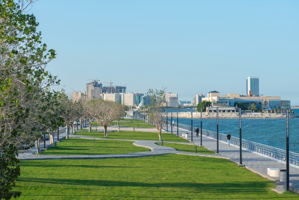 السعودية: ضوابط تسمية المرافق العامة وحظر أسماء الملوك