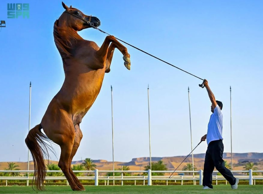 مركز الملك عبد العزيز يقر لائحة حماية الخيل العربية