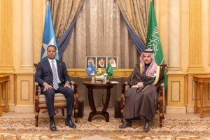 Saudi Arabia rejects Israel's recognition of Somaliland and supports Mogadishu
