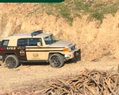 الأمن البيئي يضبط مخالفات رعي واحتطاب بالرياض والمدينة