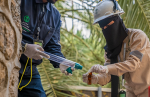 السعودية: 58 ألف جولة لتعزيز الالتزام البيئي في 2025