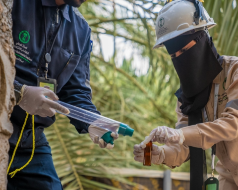 السعودية: 58 ألف جولة لتعزيز الالتزام البيئي في 2025