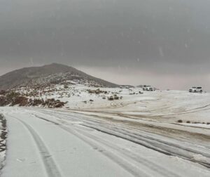 هولندا: الثلوج تشل الطيران والقطارات وتحذيرات رسمية