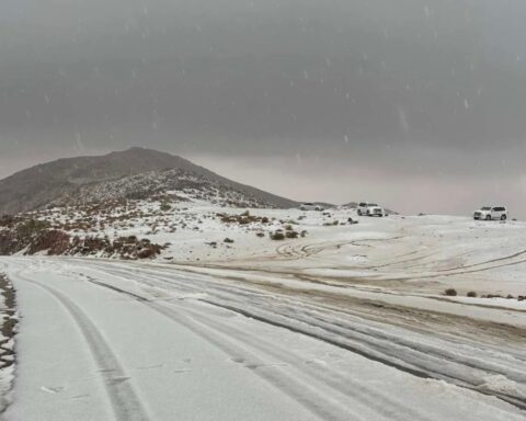 هولندا: الثلوج تشل الطيران والقطارات وتحذيرات رسمية