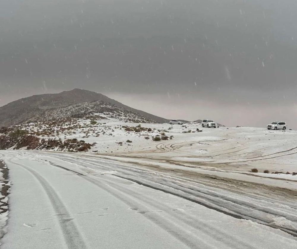 هولندا: الثلوج تشل الطيران والقطارات وتحذيرات رسمية