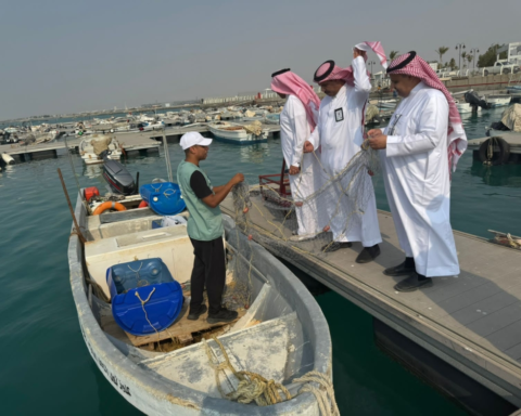 ضبط مخالفات الصيد البحري في مرفأ ثول لحماية الثروة السمكية