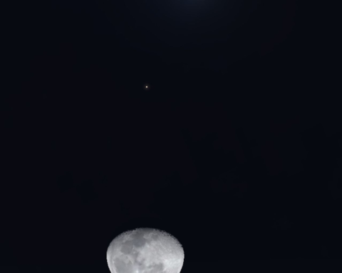 Conjunction of the Moon and Regulus (the star of Leo) 2026: Details of the astronomical phenomenon