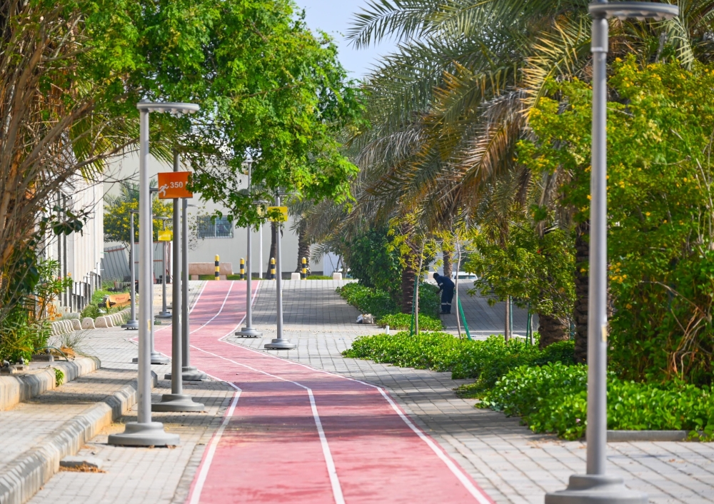 بلدية الظهران: زراعة 111 ألف زهرة وصيانة 4 آلاف شجرة