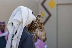 تتويج 12 صقاراً محلياً بكؤوس مهرجان الملك عبدالعزيز 2025