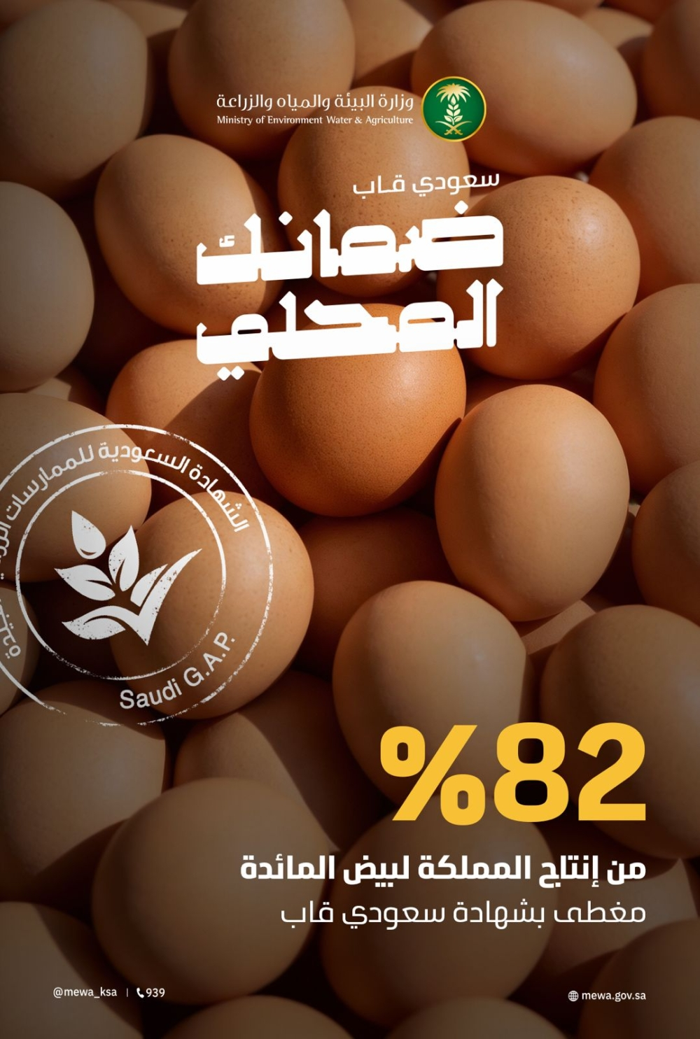 إنتاج السعودية من البيض يقفز لـ 8.4 مليار في 2024