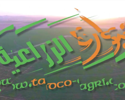 تبوك الزراعية: تعديل أسعار الديزل وخطط إزاحة الوقود السائل