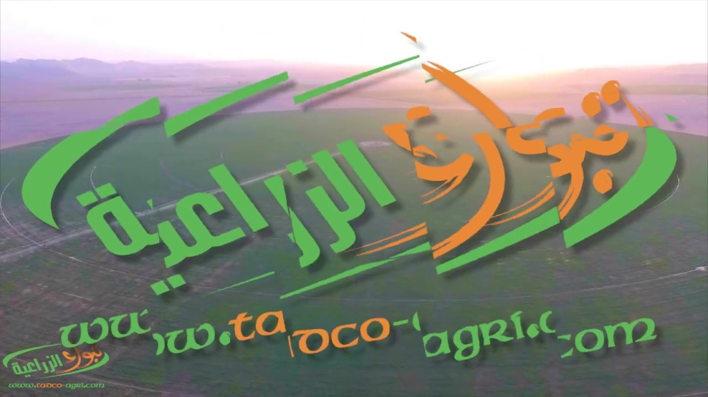 تبوك الزراعية: تعديل أسعار الديزل وخطط إزاحة الوقود السائل