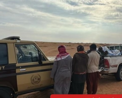 ضبط مخالفين لنقل الحطب في محمية الإمام تركي وعقوبات مشددة