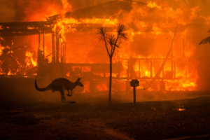 Australian bushfires: Evacuation in Victoria and catastrophic warning issued