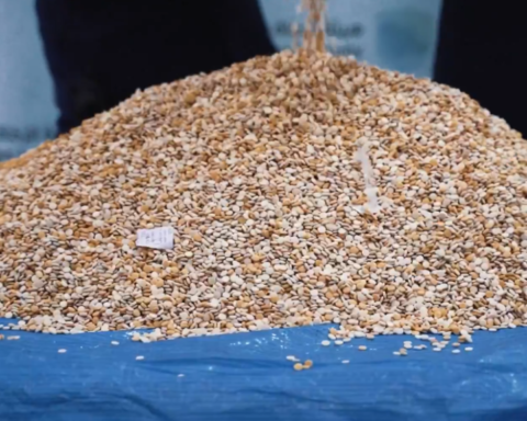 إحباط تهريب 4.7 مليون حبة كبتاجون في ميناء جدة الإسلامي