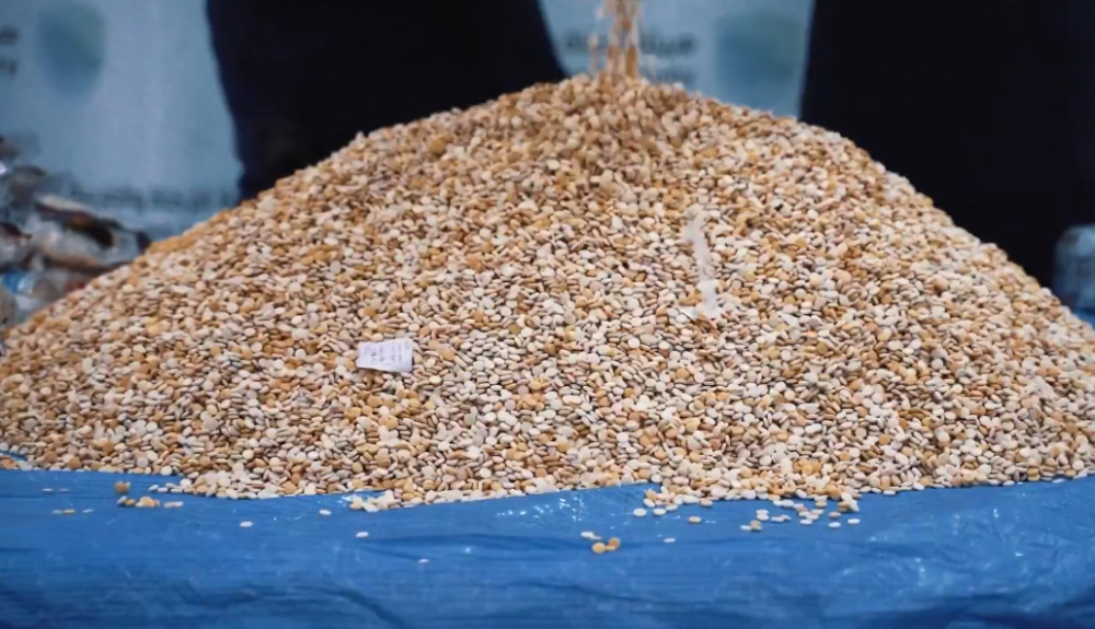 إحباط تهريب 4.7 مليون حبة كبتاجون في ميناء جدة الإسلامي