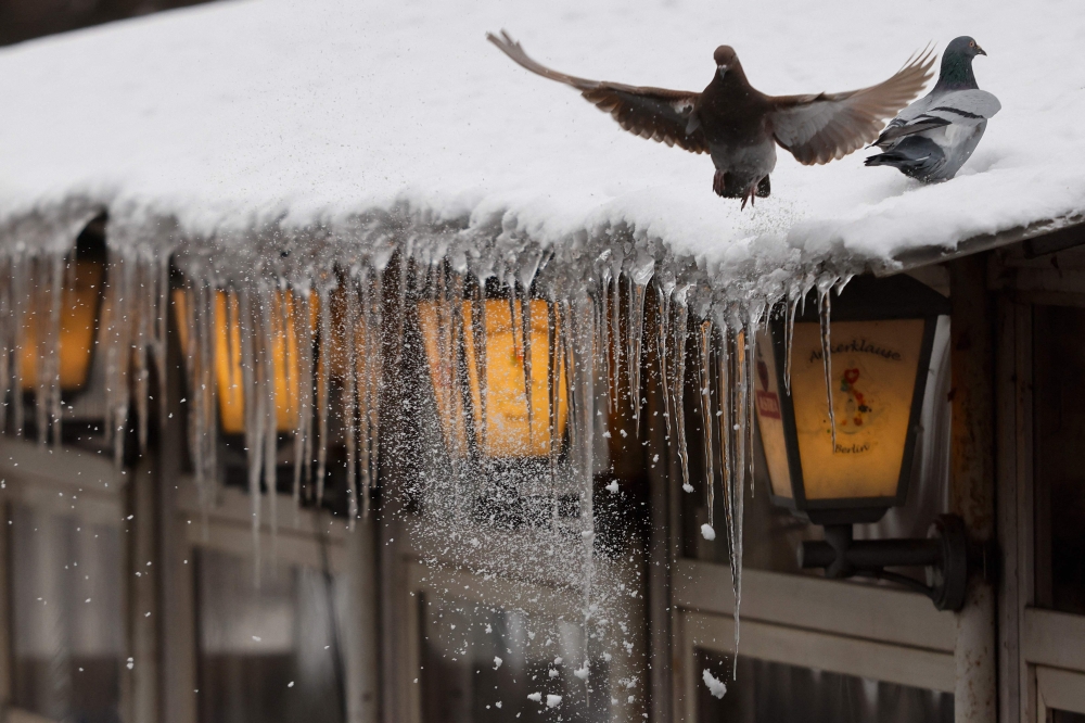 عواصف شمال أوروبا تعطل النقل وتقطع الكهرباء