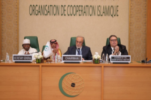 The Organization of Islamic Cooperation rejects Israeli intervention in Somalia and supports Palestine