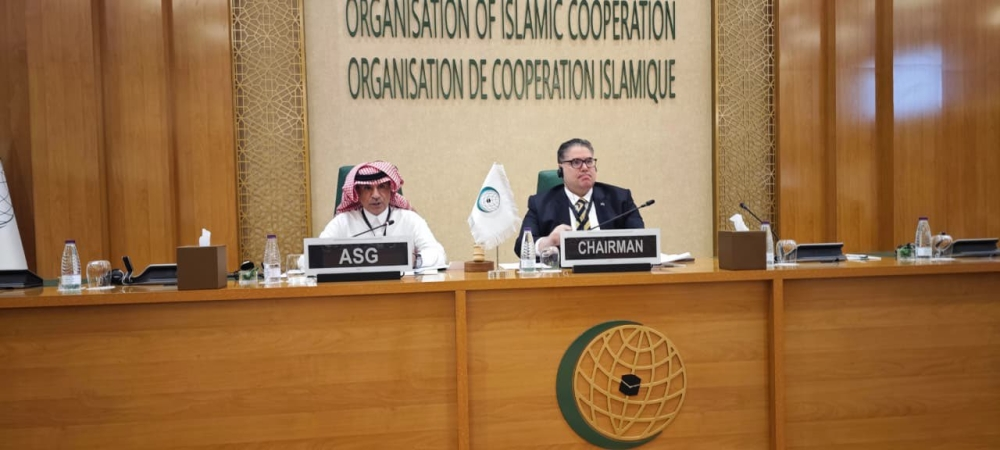 OIC Statement: 38 Resolutions to Support Somalia and Palestine