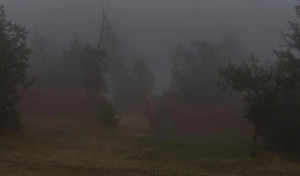 Today's weather: Dense fog in 5 regions and weather alerts