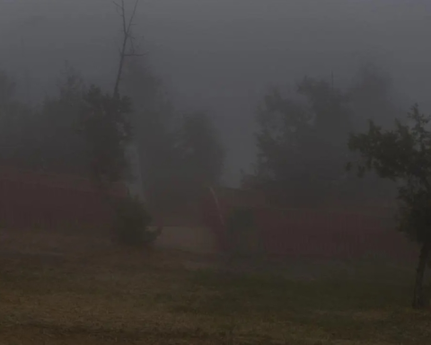 حالة الطقس اليوم: ضباب كثيف على 5 مناطق وتنبيهات الأرصاد