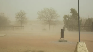 Weather in Al-Jawf and the Eastern Province: Dust storms and fog reducing visibility