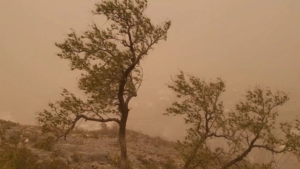 طقس السعودية اليوم: أتربة ورياح نشطة على الرياض والشرقية