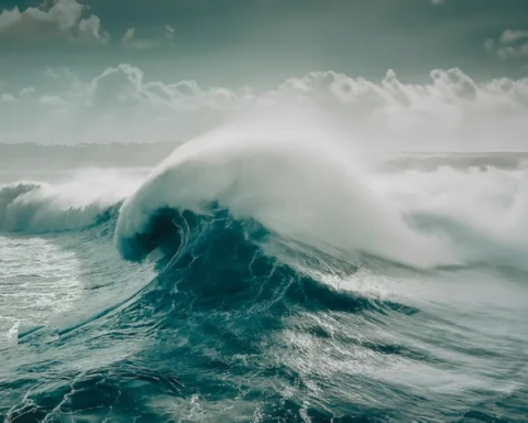 حالة الطقس اليوم: عواصف ترابية وأمطار في السعودية