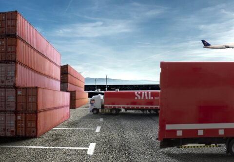 سال تبدأ طرح صكوك مقومة بالريال السعودي: التفاصيل الكاملة